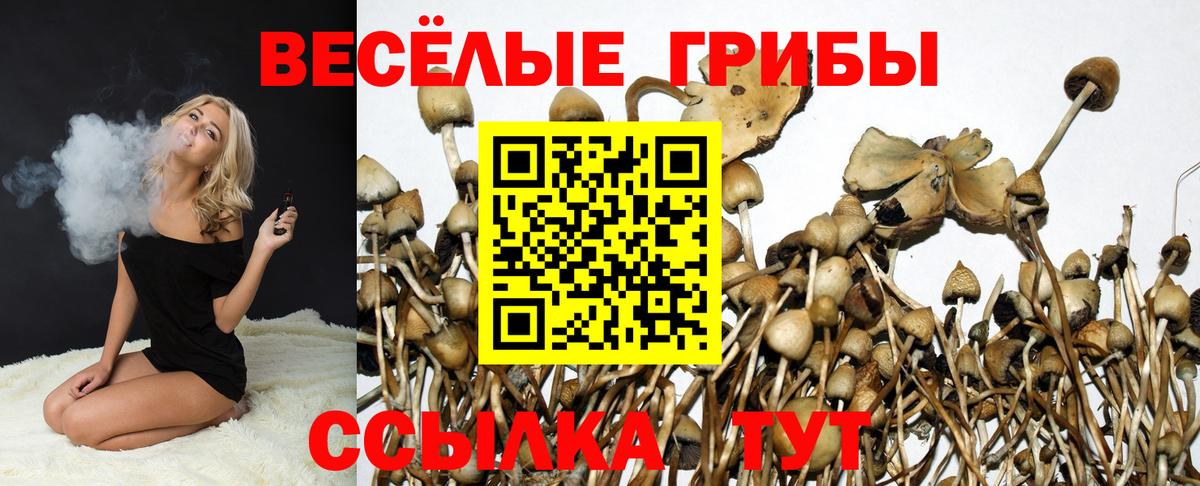 Галлюциногенные грибы Cubensis Ефремов